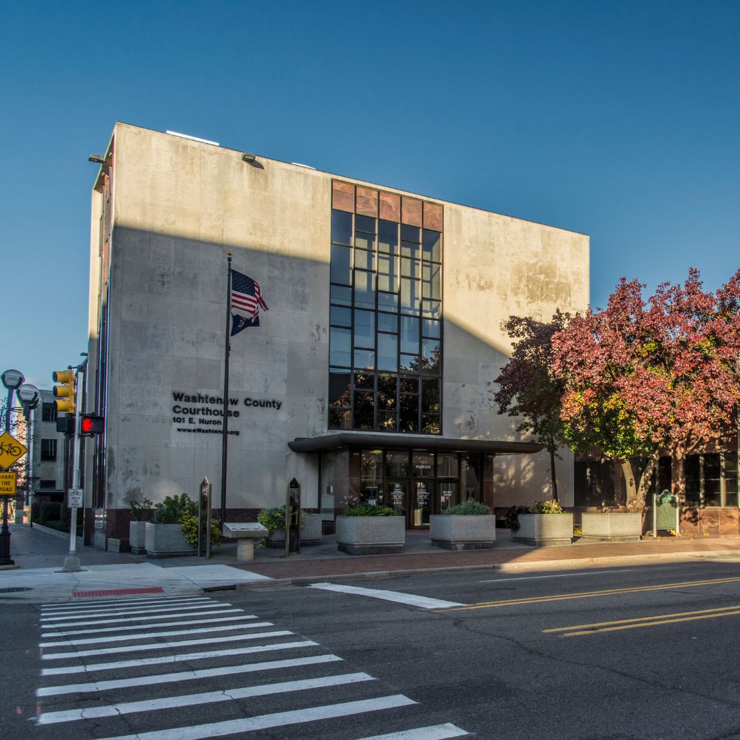 Tree Service in Washtenaw County MI