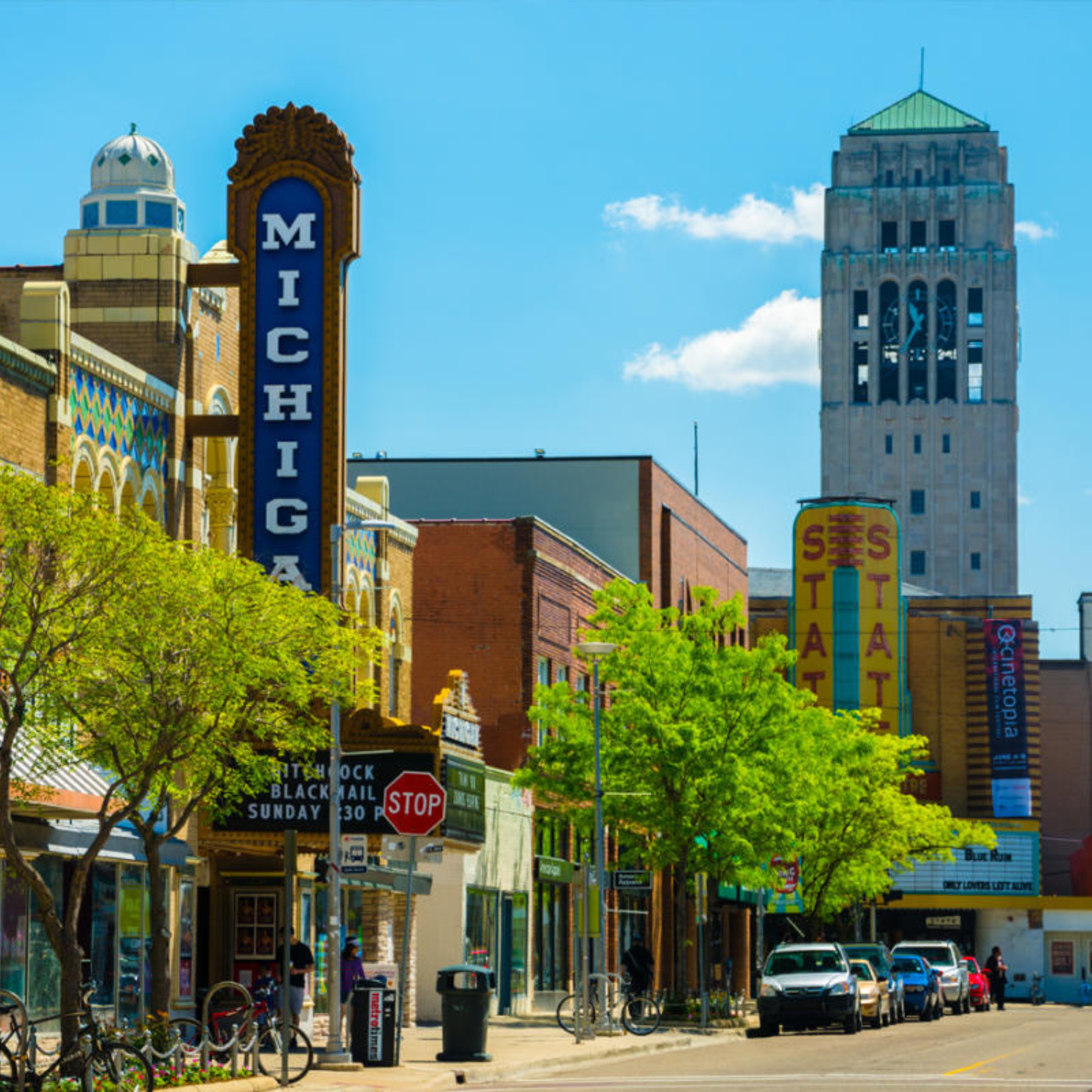 Tree Service in Ann Arbor Michigan