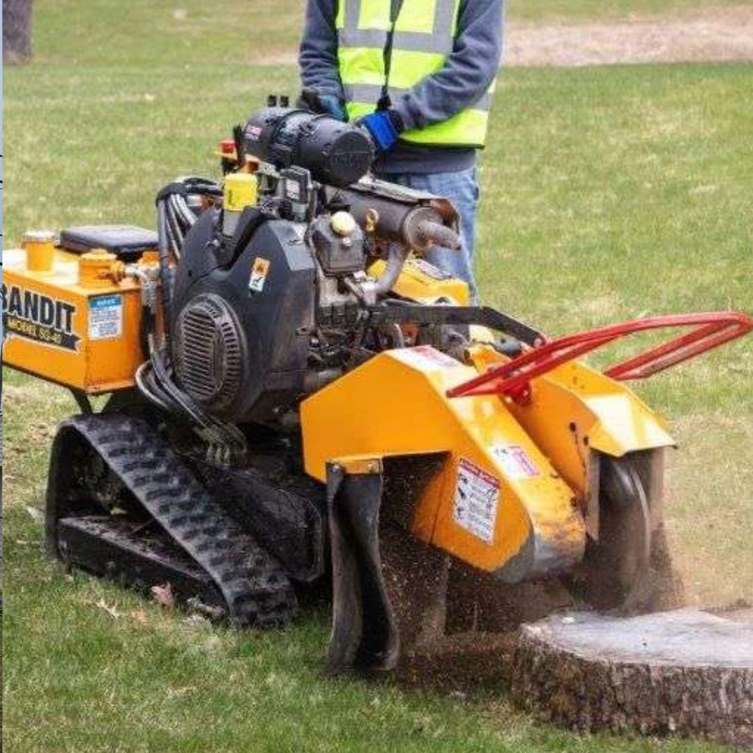 Stump Grinding Services